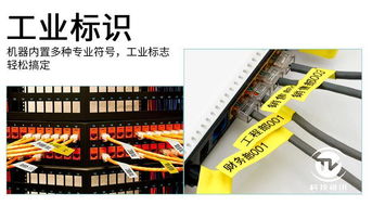 激發(fā)孩子興趣 擔(dān)當(dāng)家庭責(zé)任 兄弟pt d200標(biāo)簽打印機產(chǎn)品游記